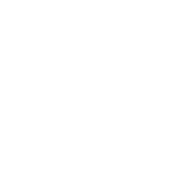 Sure Steel